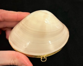 Handmade Vintage Quahog Proposal Clamshell with Ring Pillow, Beach Marriage Ring Box