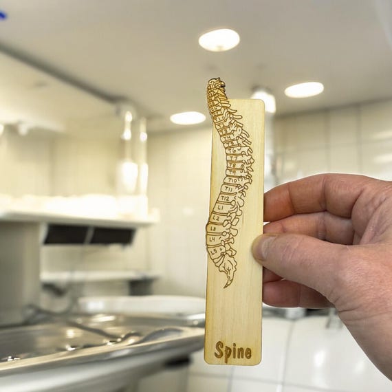 Bookmark - PERSONALIZED Spine Anatomy - Birch wood Bookmark - PERSONALIZED Spine Anatomy - Birch wood