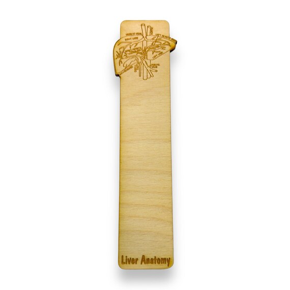 Bookmark - PERSONALIZED Liver Anatomy - Birch wood Bookmark - PERSONALIZED Liver Anatomy - Birch wood