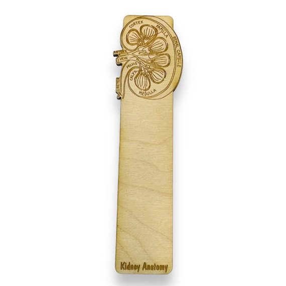 Bookmark - Kidney Anatomy - Birch wood Bookmark - Kidney Anatomy - Birch wood