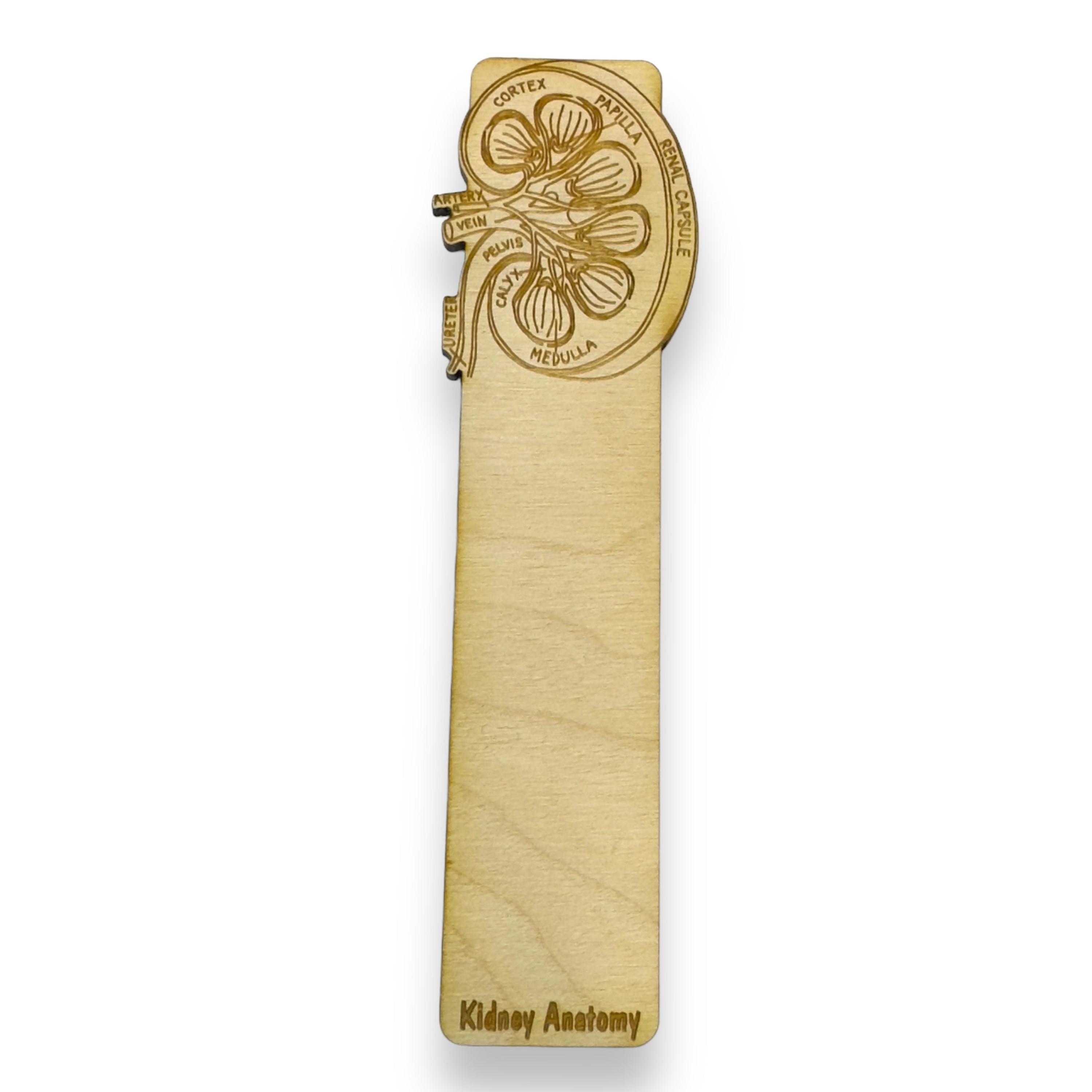 Bookmark - PERSONALIZED Kidney Anatomy - Birch wood Bookmark - PERSONALIZED Kidney Anatomy - Birch wood