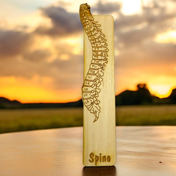 Bookmark - PERSONALIZED Spine Anatomy - Birch wood Bookmark - PERSONALIZED Spine Anatomy - Birch wood