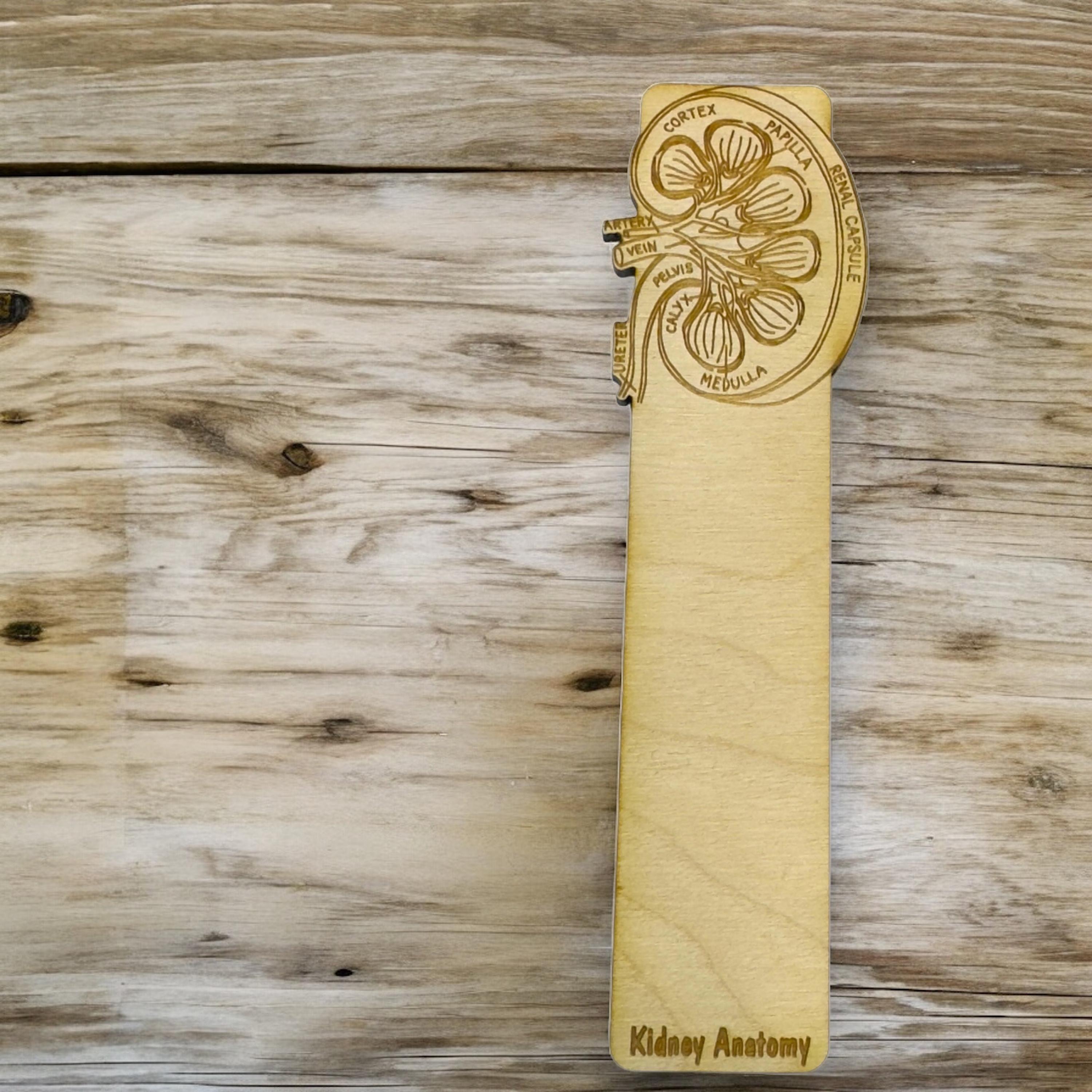 Bookmark - PERSONALIZED Kidney Anatomy - Birch wood Bookmark - PERSONALIZED Kidney Anatomy - Birch wood