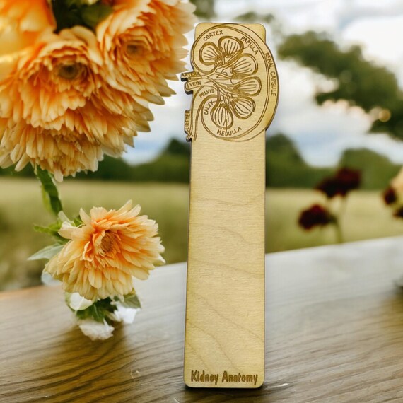 Bookmark - PERSONALIZED Kidney Anatomy - Birch wood Bookmark - PERSONALIZED Kidney Anatomy - Birch wood