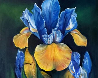 IRIS