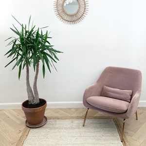 May include: A pink velvet armchair with a pillow sits on a light beige rug with a jute border. A potted green plant and a round woven mirror with a white background are on the wall behind the chair.