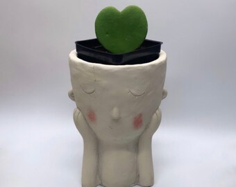 Rare Succulent Hoya Kerrii Sweetheart, Single Rooted Leaf ,Heart Leaf Love Plant （great gift for Mother’s Day)
