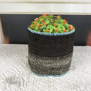 May include: A black and white woven fabric planter with a blue trim, filled with a green plant with small orange flowers.