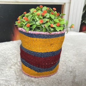 May include: A woven basket with yellow, blue, and maroon stripes, featuring a pink rim. The basket is filled with a green plant with small orange flowers.