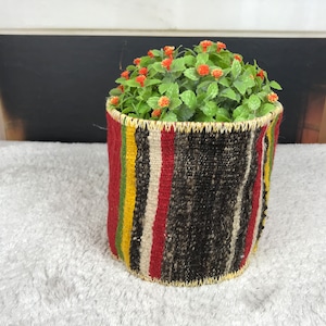 Può includere: Un vaso da fiori intrecciato a righe colorate con una pianta verde con piccoli fiori arancioni all'interno.