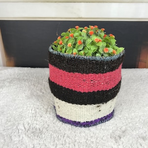 May include: A woven basket planter with black, white, pink, and purple stripes. The planter is filled with a green plant with small orange flowers.