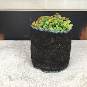 以下が含まれることがあります： オレンジの花が咲いた緑の植物が入った、青い縁取りのある黒い布製のプランター
