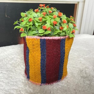 May include: A cylindrical fabric planter cover featuring vertical stripes in mustard yellow, deep burgundy, and navy blue. The top and bottom edges are finished with a light pink stitched trim. A cluster of small green leaves with orange flowers.