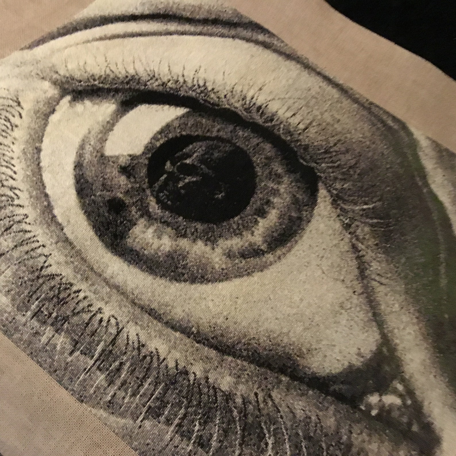 M.C. Escher 'eye' Cross Stitch Embroidery Art - UNFRAMED Optical ...