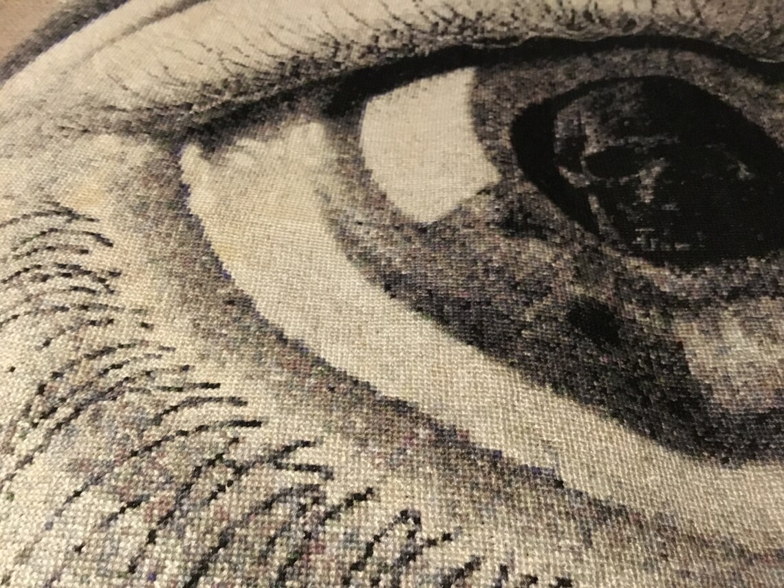M.C. Escher 'eye' Cross Stitch Embroidery Art UNFRAMED Optical Illusion ...
