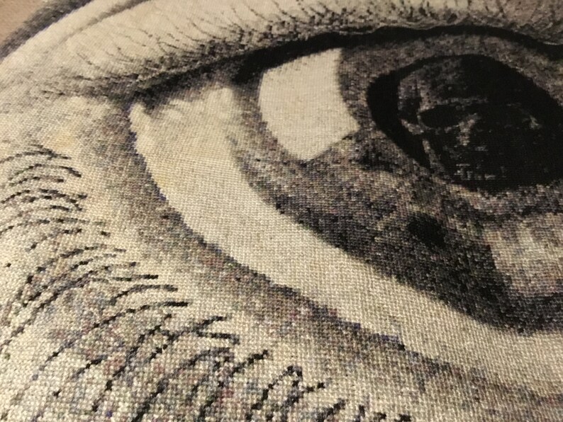 M.C. Escher 'eye' Cross Stitch Embroidery Art UNFRAMED Optical Illusion ...