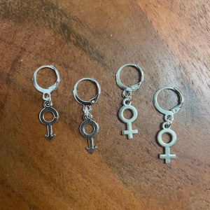 Può includere: Quattro orecchini color argento. Due orecchini presentano il simbolo maschile e due il simbolo femminile. Ogni orecchino ha un piccolo anello nella parte superiore per l'attacco.