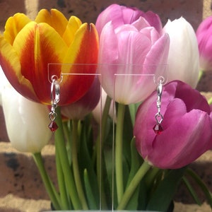 May include: A pair of silver hoop earrings with a dangling red crystal charm. The earrings are displayed against a background of colorful tulips.