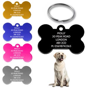 May include: A selection of bone-shaped pet ID tags in various colours, including gold, blue, pink, grey, and black. Each tag displays the name "MOLLY", address, and phone number. A silver split ring is also shown. A Labrador Retriever is also in the image.