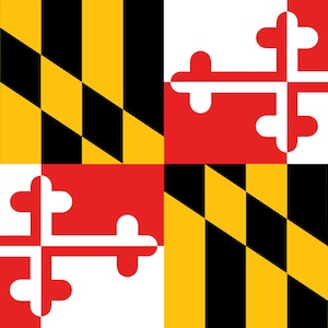 May include: The Maryland state flag features a quartered design with alternating black and gold diagonal stripes, and red and white quadrants with a white cross design. The flag's bold colors and geometric patterns make it a striking symbol.