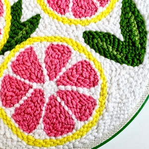 10 inch green plastic embroidery hoop. Pink and yellow lemon slices with green leaves.