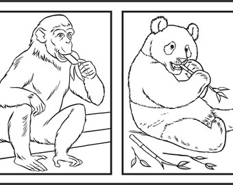 Zoo animal coloring pages