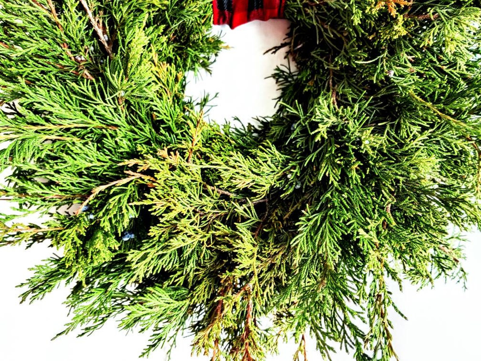Fresh Christmas Wreath Cedar With Juniper Berries and Red Etsy