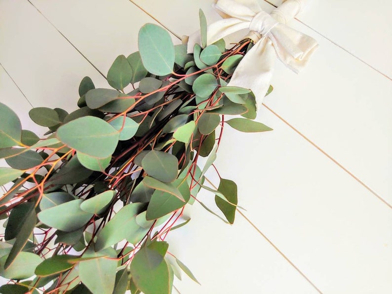 Fresh Eucalyptus Swag Wreath for door window or wall Silver Etsy
