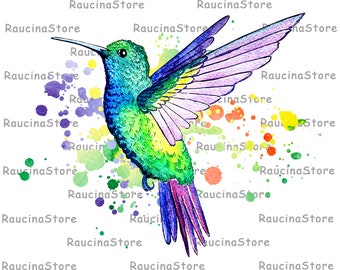 Descarga de sublimación de colibrí, descargas de diseños de sublimación, png - dwonload instantáneo, pájaro acuarela, imágenes prediseñadas de colibríes,