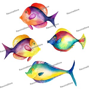 May include: Four watercolour paintings of colourful fish. The fish are painted in shades of yellow, orange, purple, blue, and green. The fish are all different shapes and sizes.
