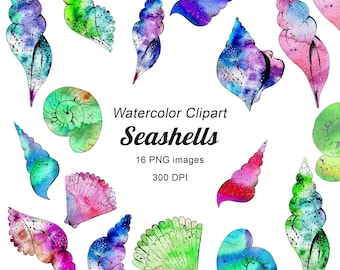 Seashell clipart, watercolor undersea clipart, nautical clipart, undersea clipart