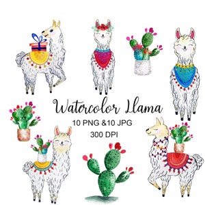 Imágenes prediseñadas de lama de acuarela, acuarela lama, arte clip de lama, imágenes prediseñadas de cactus, cactus acuarela
