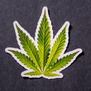 Pot Leaf Vinyl Sticker