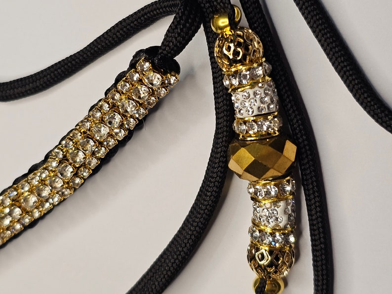 The Loyalty Link Collar and Lead