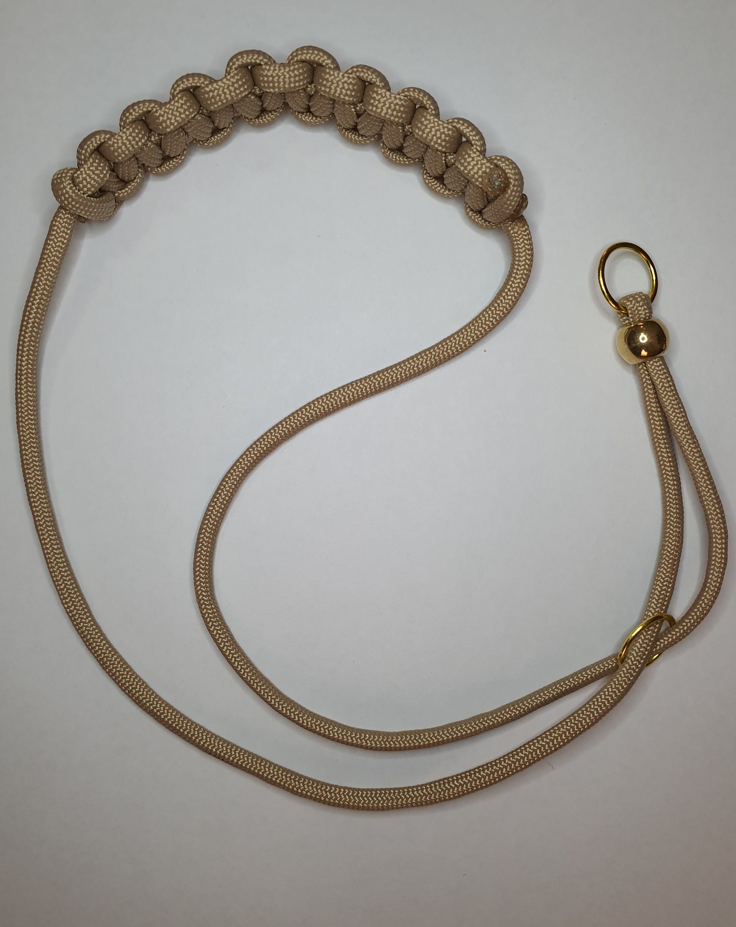 Dog Show Ribbons Etsy Australia