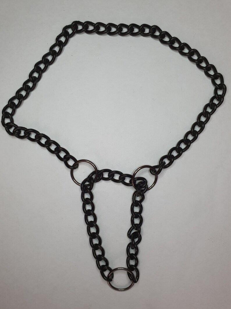 Dog Show Chain Martingale Collars Multiple Colours Custom Etsy Australia