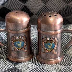 Metal Salt & Pepper Shakers