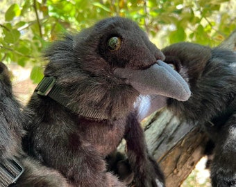 Apoyo emocional Cuervo Cuervo Peluche Animal de peluche Juguete de regalo personalizado
