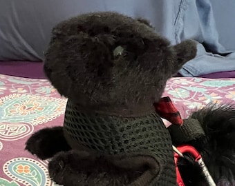 Emotional Support Black Squirrel Plush Stuffed Animal Personalized Gift Toy