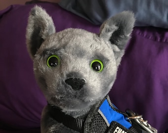 May include: A gray plush cat with green eyes wearing a black harness with a blue strap and the words "Emotional Support" printed on it.