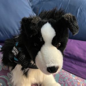 Emotional Support Border Collie Dog Plush Stuffed Animal Personalized Gift Toy Etsy Australia