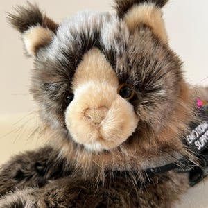May include: A plush lynx toy with long, tufted ears, brown and cream-coloured fur, and amber eyes. The toy wears a black harness with a patch that reads EMOTIONAL SUPPORT in white capital letters, featuring a small, colourful, iridescent accent.