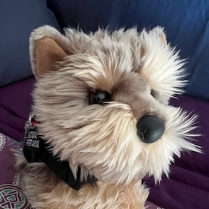 Pode incluir: Um cão de peluche com pelo felpudo em tons de bege e castanho, olhos castanhos escuros e nariz preto. O brinquedo usa uma coleira preta com uma etiqueta retangular que diz EMOTIONAL SUPPORT ANIMAL em letras maiúsculas brancas.