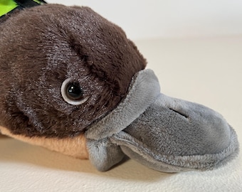 ESSA カモノハシ 感情サポート ぬいぐるみ パーソナライズギフト