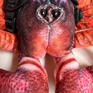 May include: A plush toy shaped like a lobster with a mottled orange and red pattern, featuring two shiny black plastic eyes and a black nylon harness with adjustable plastic buckles secured around the upper portion of the stuffed creature.