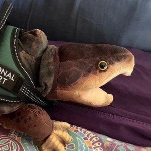 May include: A brown and green plush toy shaped like a turtle wearing a green and black harness with the text "Emotional Support". The harness has a heart-shaped tag attached to it.
