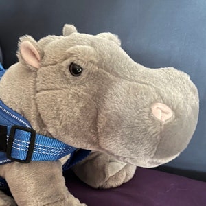 May include: A gray plush hippopotamus wearing a blue harness with the words "Emotional Support" printed on a black patch. The harness has a blue and white striped strap.