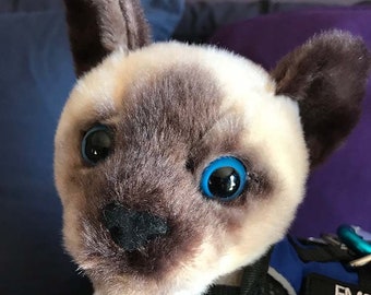 May include: A plush Siamese cat toy with blue eyes and a black nose. The cat is wearing a black harness with a blue patch that says "EMOTIONAL SUPPORT".