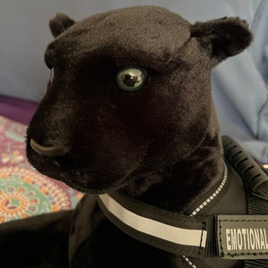 May include: Black plush panther toy wearing a black harness with reflective strips and the word "EMOTIONAL" printed on it.