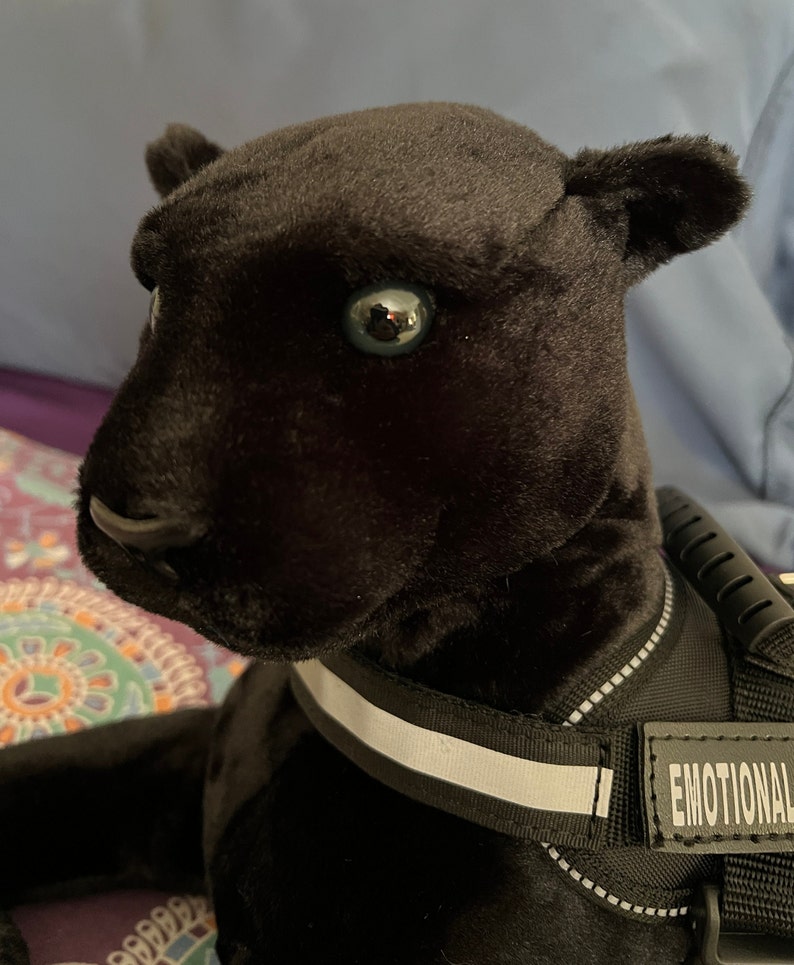 May include: Black plush panther toy wearing a black harness with reflective strips and the word "EMOTIONAL" printed on it.